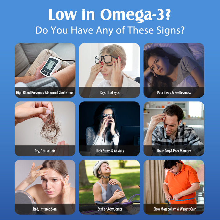 NYO3® 97% Omega 3 Fish Oil Softgels, 30ct.(sold out)